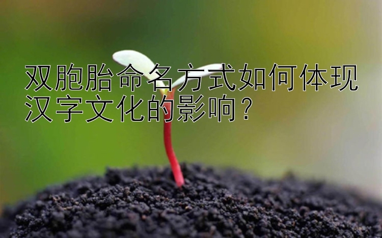 双胞胎命名方式如何体现汉字文化的影响？