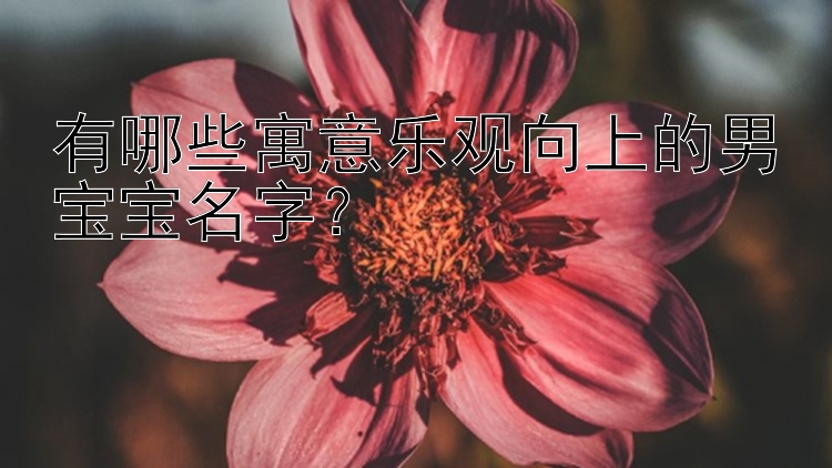 有哪些寓意乐观向上的男宝宝名字？