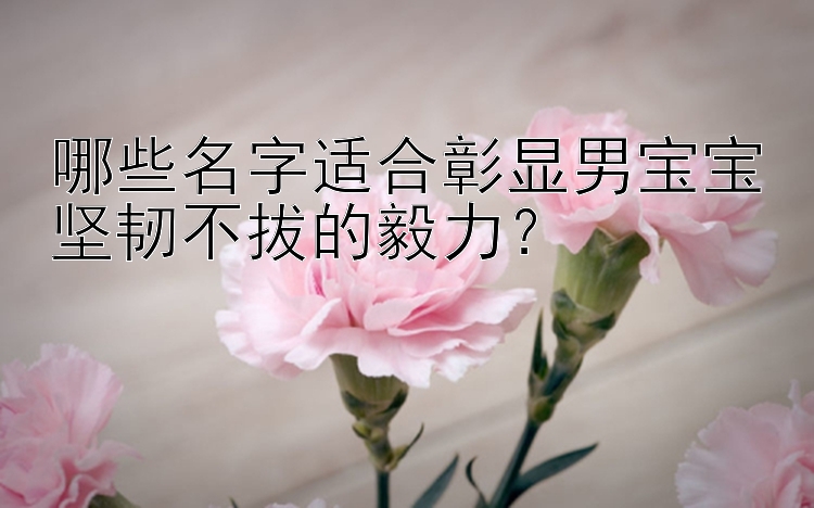 哪些名字适合彰显男宝宝坚韧不拔的毅力？