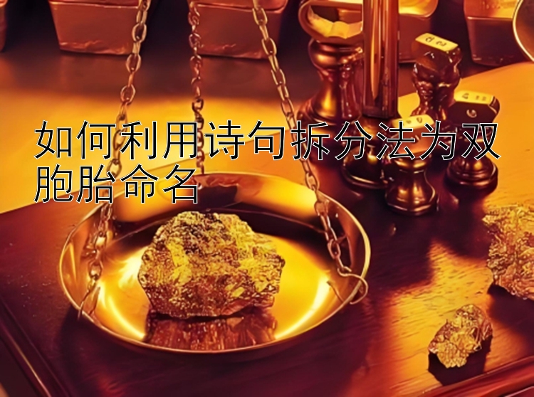 如何利用诗句拆分法为双胞胎命名