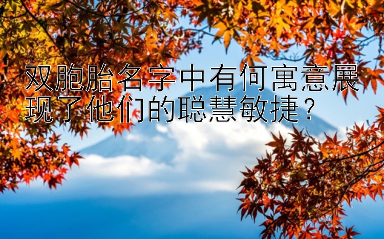 双胞胎名字中有何寓意展现了他们的聪慧敏捷？