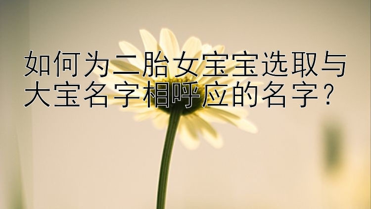 如何为二胎女宝宝选取与大宝名字相呼应的名字？