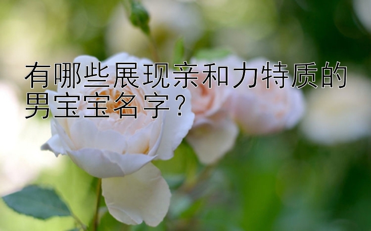 有哪些展现亲和力特质的男宝宝名字？