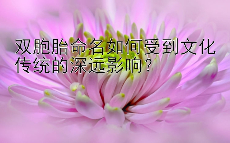 双胞胎命名如何受到文化传统的深远影响？