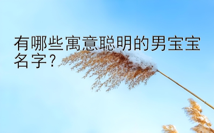 有哪些寓意聪明的男宝宝名字？