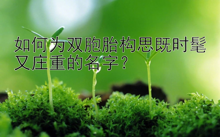 如何为双胞胎构思既时髦又庄重的名字？