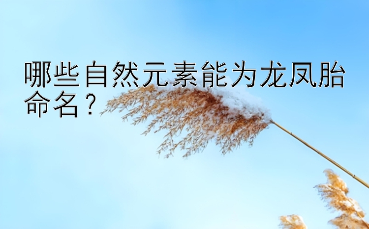 哪些自然元素能为龙凤胎命名？