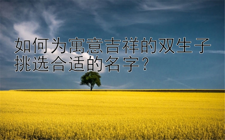 如何为寓意吉祥的双生子挑选合适的名字？