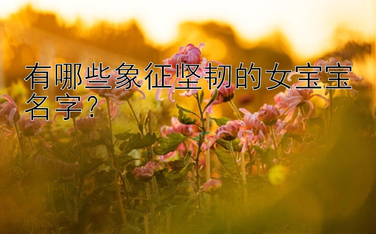 有哪些象征坚韧的女宝宝名字？