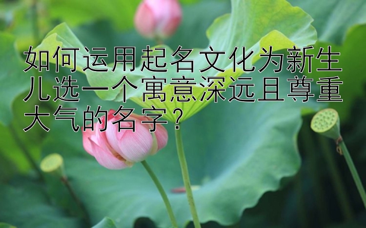 如何运用起名文化为新生儿选一个寓意深远且尊重大气的名字？