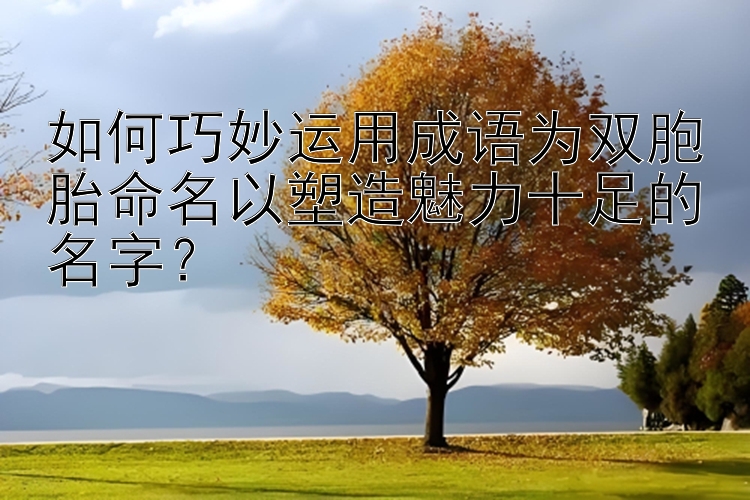 如何巧妙运用成语为双胞胎命名以塑造魅力十足的名字？