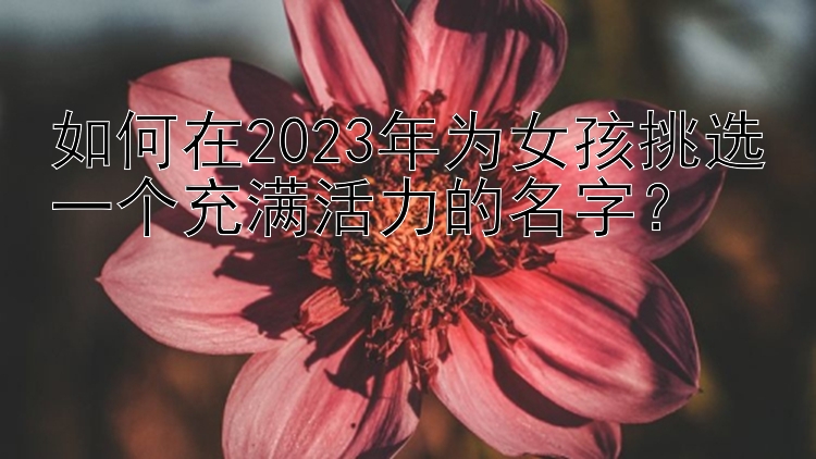 如何在2023年为女孩挑选一个充满活力的名字？