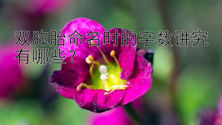 双胞胎命名时的字数讲究有哪些？