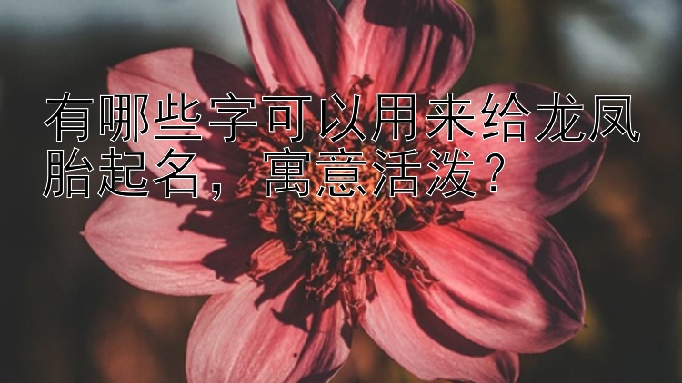 有哪些字可以用来给龙凤胎起名，寓意活泼？