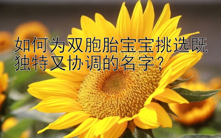 如何为双胞胎宝宝挑选既独特又协调的名字？