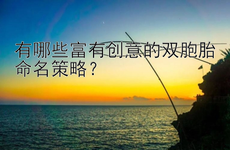 有哪些富有创意的双胞胎命名策略？