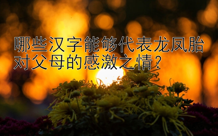 哪些汉字能够代表龙凤胎对父母的感激之情？