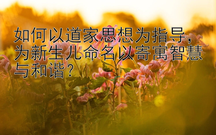 如何以道家思想为指导，为新生儿命名以寄寓智慧与和谐？