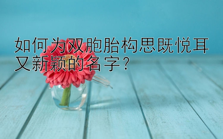 如何为双胞胎构思既悦耳又新颖的名字？