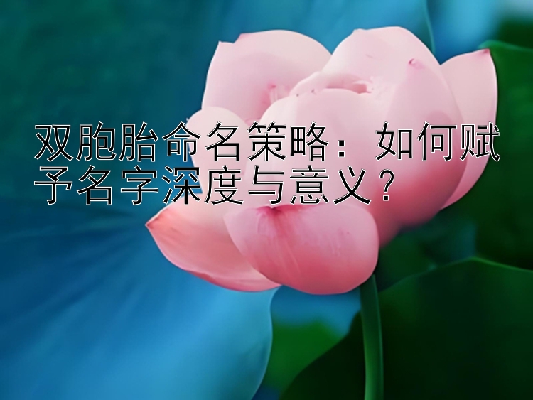 双胞胎命名策略：如何赋予名字深度与意义？