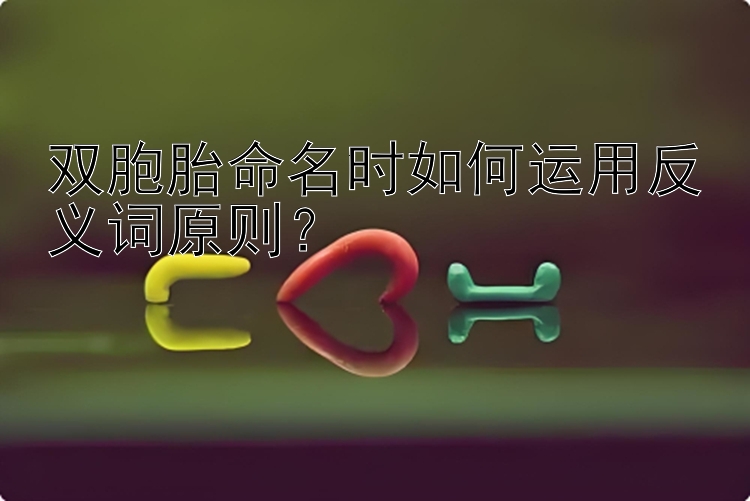 双胞胎命名时如何运用反义词原则？