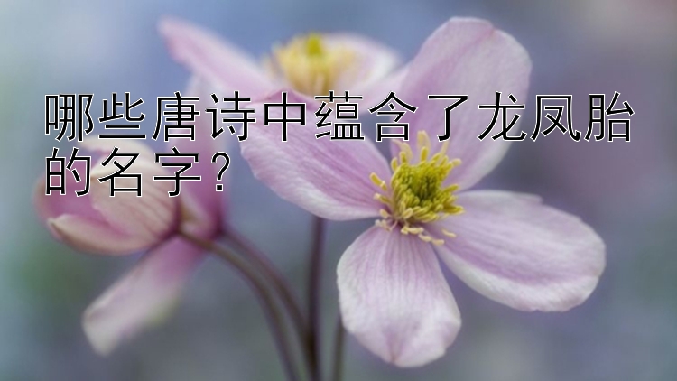 哪些唐诗中蕴含了龙凤胎的名字？