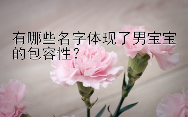 有哪些名字体现了男宝宝的包容性？