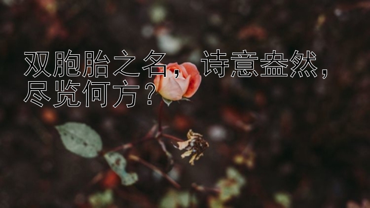 双胞胎之名，诗意盎然，尽览何方？