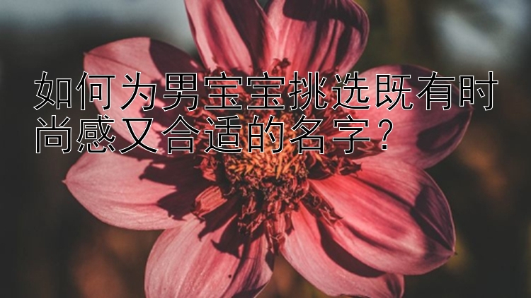 如何为男宝宝挑选既有时尚感又合适的名字？