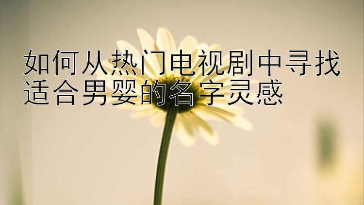 如何从热门电视剧中寻找适合男婴的名字灵感