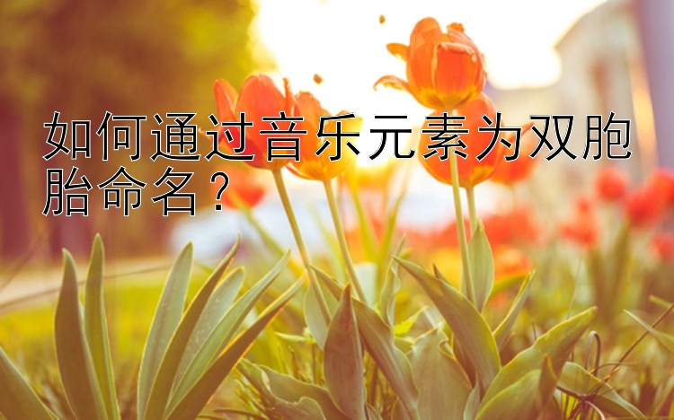 如何通过音乐元素为双胞胎命名？