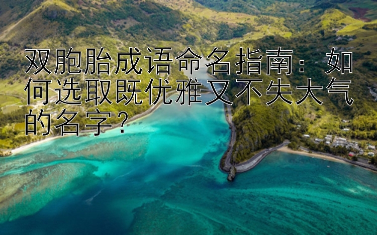 双胞胎成语命名指南：如何选取既优雅又不失大气的名字？