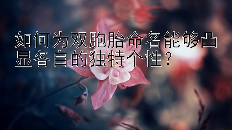 如何为双胞胎命名能够凸显各自的独特个性？