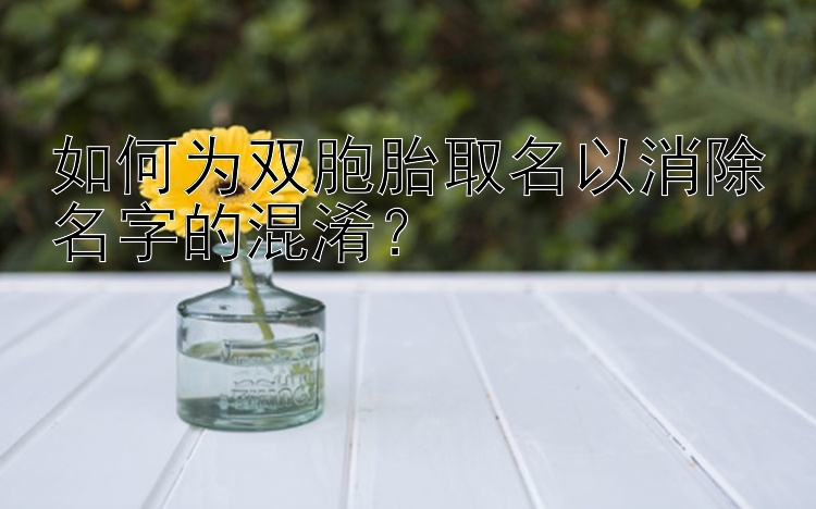 如何为双胞胎取名以消除名字的混淆？