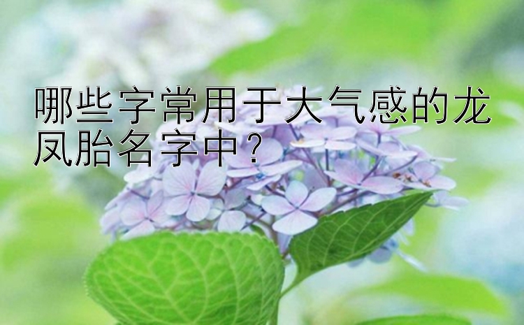 哪些字常用于大气感的龙凤胎名字中？