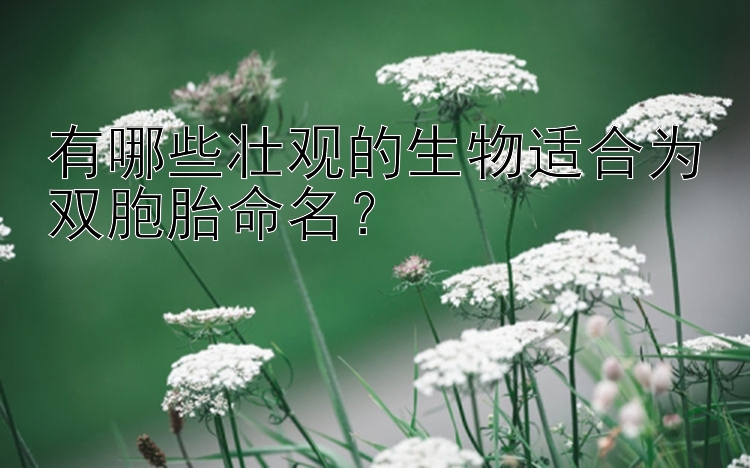 有哪些壮观的生物适合为双胞胎命名？