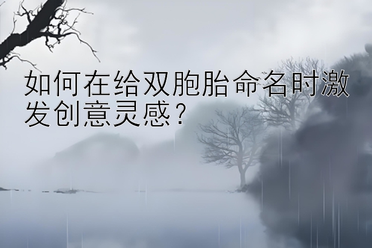 如何在给双胞胎命名时激发创意灵感？