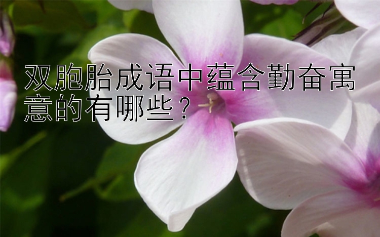 双胞胎成语中蕴含勤奋寓意的有哪些？