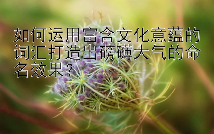 如何运用富含文化意蕴的词汇打造出磅礴大气的命名效果？