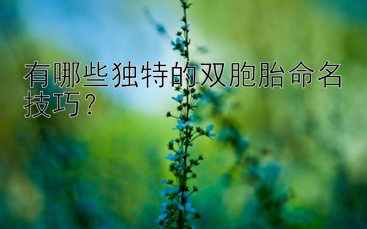 有哪些独特的双胞胎命名技巧？