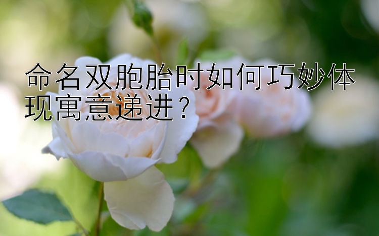 命名双胞胎时如何巧妙体现寓意递进？