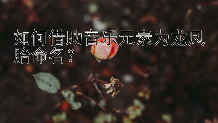 如何借助音乐元素为龙凤胎命名？