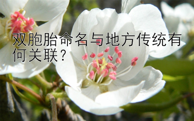 双胞胎命名与地方传统有何关联？