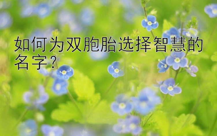 如何为双胞胎选择智慧的名字？