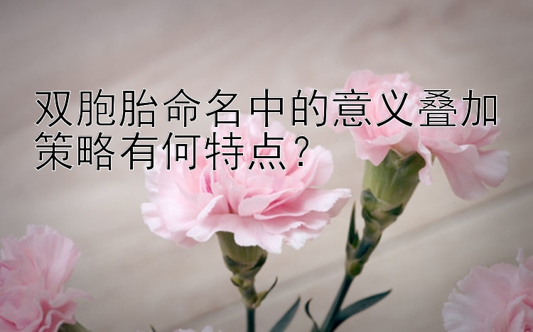 双胞胎命名中的意义叠加策略有何特点？