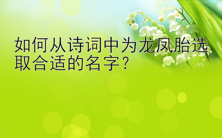 乐发彩神8注册邀请码是多少   如何从诗词中为龙凤胎选取合适的名字？