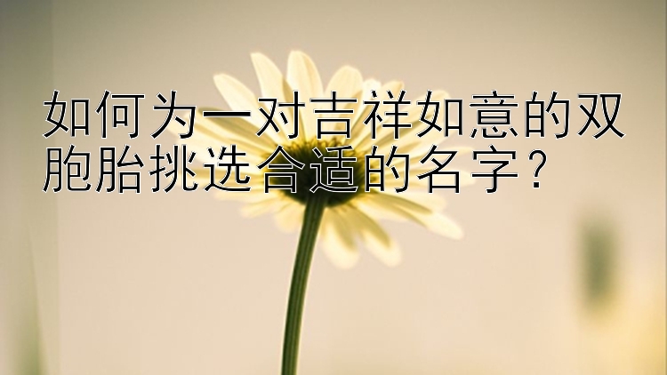 如何为一对吉祥如意的双胞胎挑选合适的名字？