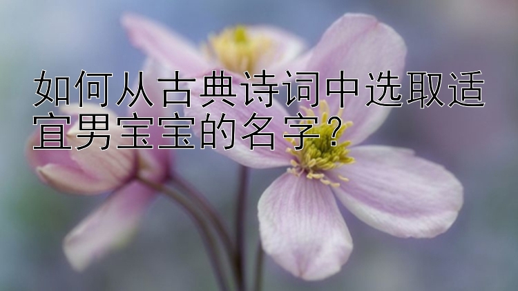 如何从古典诗词中选取适宜男宝宝的名字？