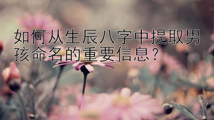 如何从生辰八字中提取男孩命名的重要信息？