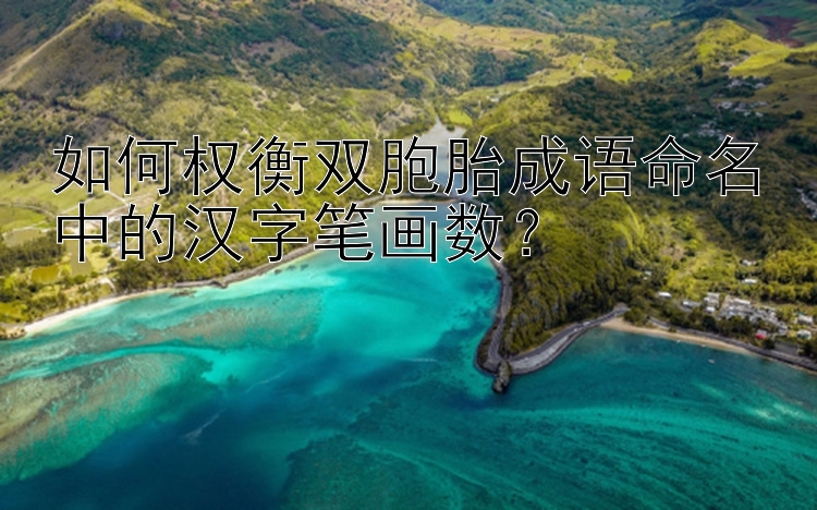 如何权衡双胞胎成语命名中的汉字笔画数？